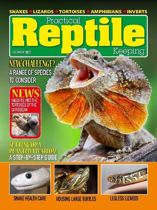 Title details for Practical Reptile Keeping by David Alderton - Available